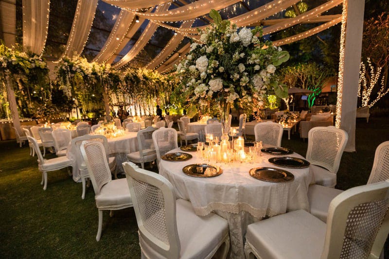 jahan and ananya's reception 3